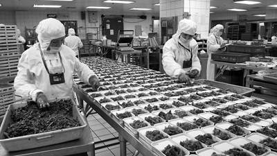 航空配餐企業確保食品安全 圖