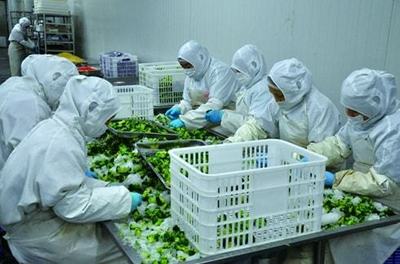 政策:加速發展智慧農業;海天味業:成為價值最高的調味品企業