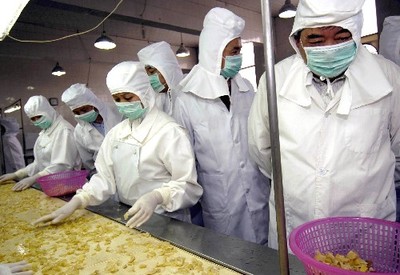 全國各地部署開展產品質量食品安全專項整治行動