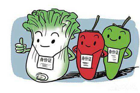 安全食品在身邊,針對食品安全問題該怎么做